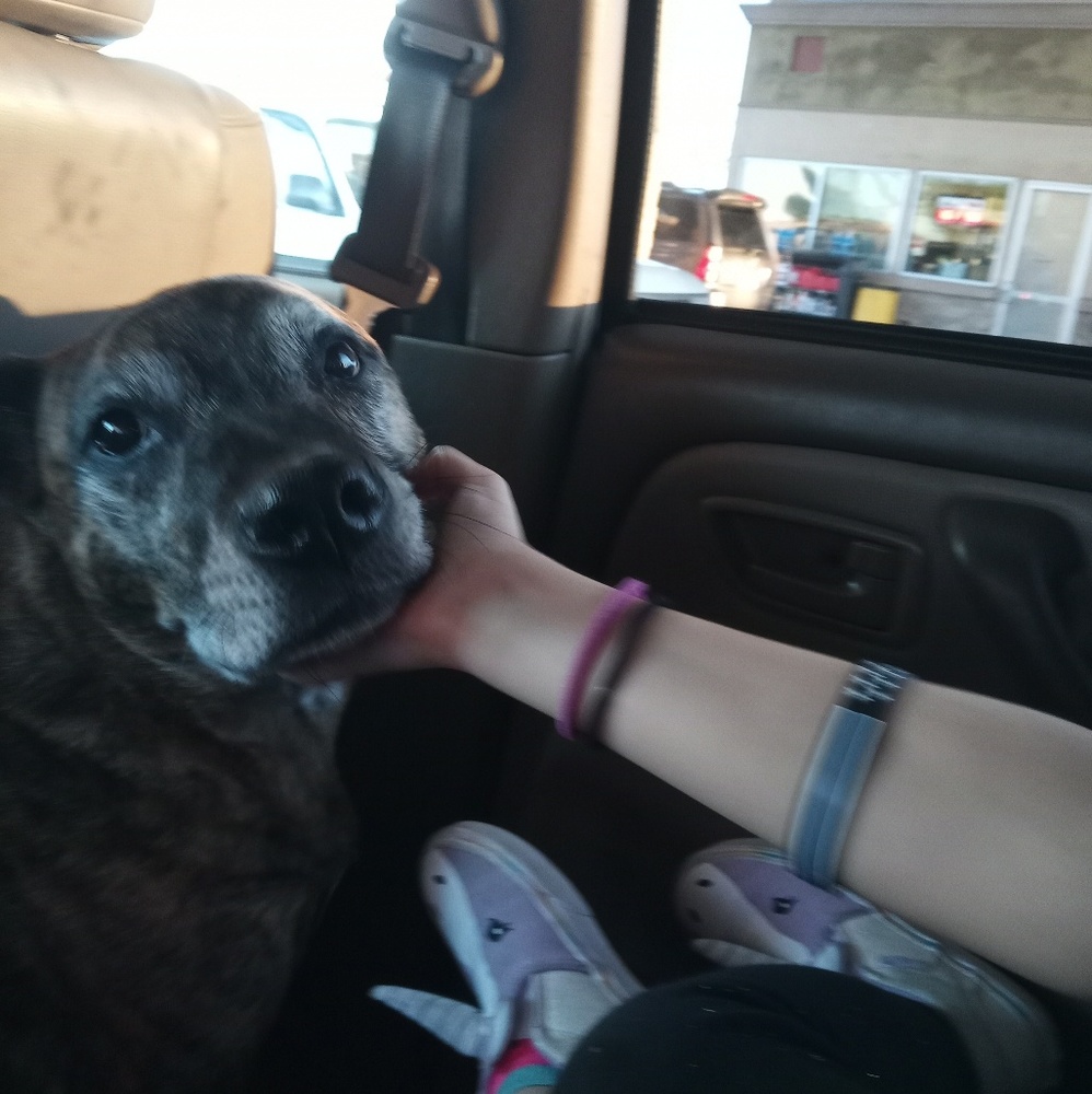 Meet your posher, Emily -w-